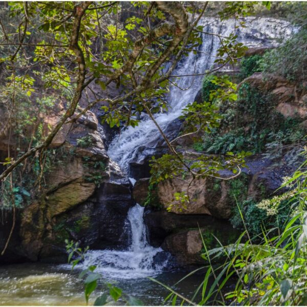 Top 5 des cascades à ne pas manquer en Corse-du-Sud